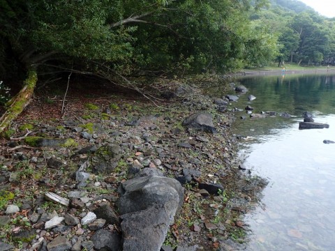 p83g7rti5wegijbku9dv_480_480-1f589a08.jpg