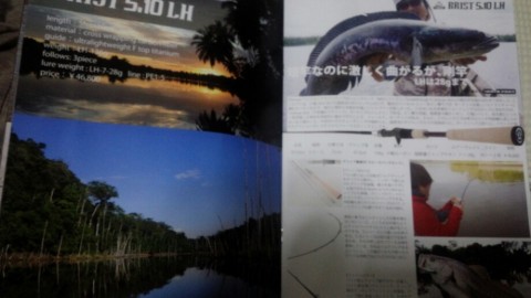 p887r2f8a83kuapwconm_920_518-39ad3903.jpg