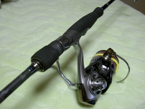 p887wvvirh3482wd3xyz_480_480-bd403652.jpg