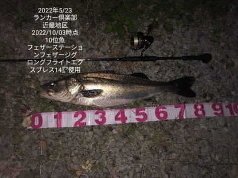 p88z6dwww5zuubcwifzj_480_360-cfe7b3b8.jpg