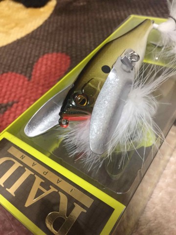 繋がり 初羽根モノ50upのはずが こうなるとは