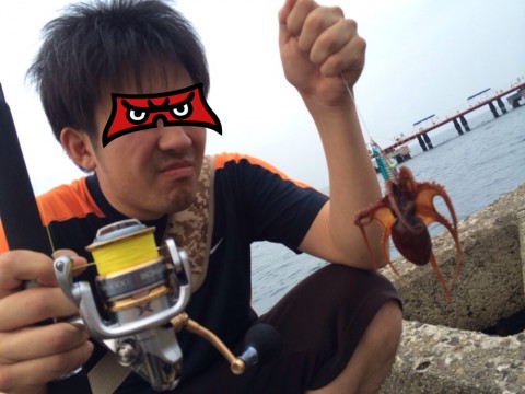 p8y437i8m2m74dm29uxv_920_690-9ceb1fb6.jpg