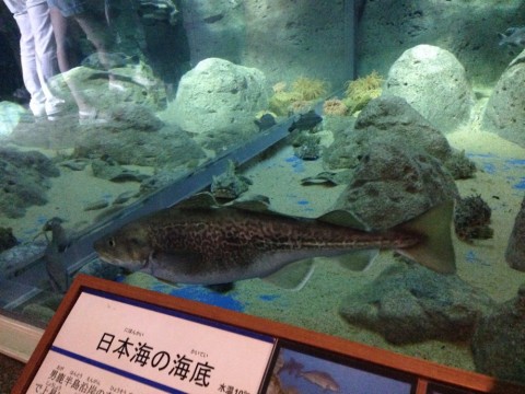 p92oaeuvtazjixpkhzkg_920_690-7a93203c.jpg