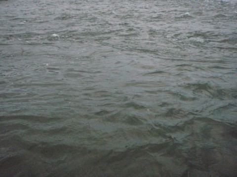 p93hudnwymg4h532fxg2_480_480-d80727d0.jpg