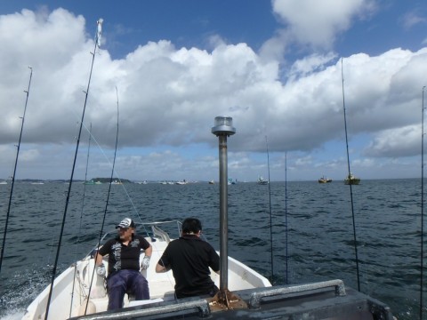 p9ix584uvjkzkvdirxs5_480_480-8de398f6.jpg