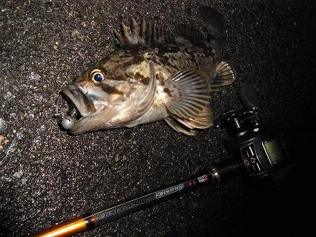 p9jrc8p3wi8to3b4uf4b-b5a093cb.jpg