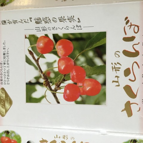 p9pyebghfv8pa7jrazmh_480_480-373915e4.jpg
