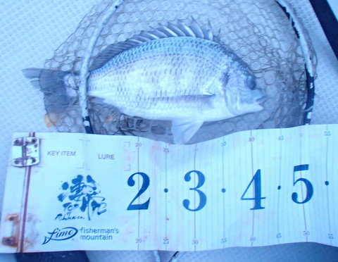 p9rcttj9rhtw87vzbr8a-6d6dc46e.jpg