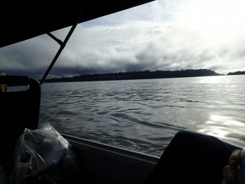 p9yc59667d2k5tkij6at_480_480-66c2cb00.jpg