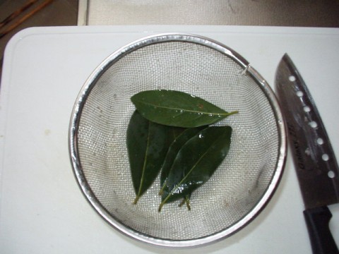 pFcRiAPbYOvHTwED7Ksa_480_480-644089b2.jpg