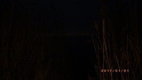 pa7u5gyxaon7pa4gsf8j_480_480-1d62010c.jpg