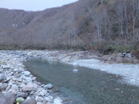 pabtj26x5b7r9yph98b9_480_480-0d335a36.jpg