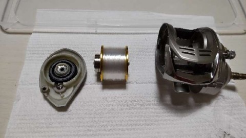 padmr9roaauky42p86dp_480_480-f8971734.jpg