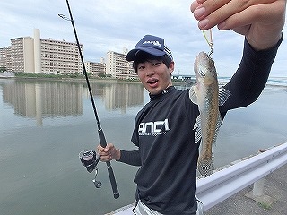 pap42b6dtfuxj3vp9bj8-931143ae.jpg