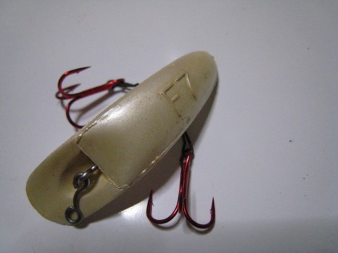 pax72a7pbhjip8uw5oam_480_480-0ec23085.jpg