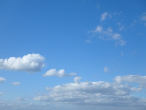 pbhufuudgfyuhdzfpwwj_480_480-63c928ae.jpg