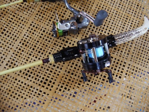 pbrawfrodygyrt8o2z53_480_480-d019c7ad.jpg