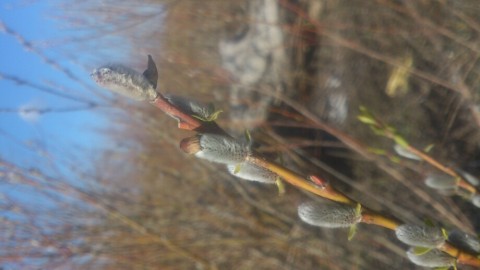 pc7ry8swhjccwdwfwmep_920_518-d2bc491f.jpg