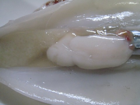 pcctnntyrperz5jyer9x_480_480-865533b4.jpg
