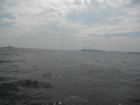 pcjrmavbyijbryr5hhya_480_480-ed8e87cc.jpg