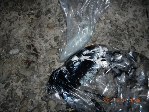 pcn25vfirnvyy5gjt336_480_480-32a2382d.jpg