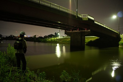 pcrvnr63nie68ea55h8y-37b54597.jpg