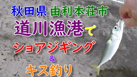 pcxosnkjp7wv5unwaeg2_480_480-3d34552e.jpg