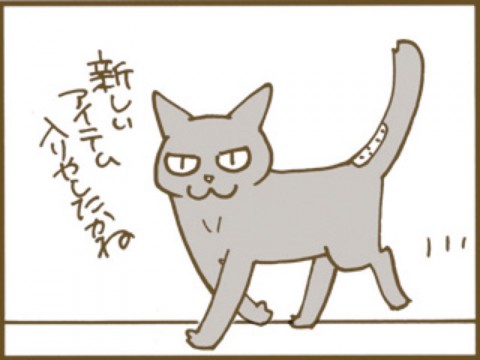 pdaxaj86cubuavfwwkrr_920_690-50bda31f.jpg