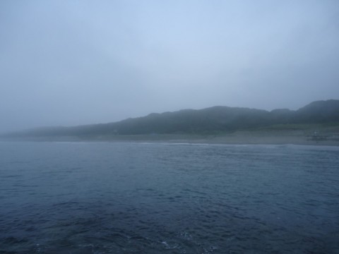 pdcrnmirfg8skrbmhnem_480_480-5d6e29d4.jpg