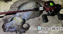 pddgrkfphc864jpufgg3-374d0eca.jpg