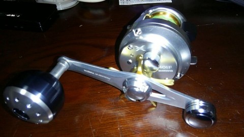 pdpe46zmc52aexogo2gb_480_480-f73cf4b6.jpg