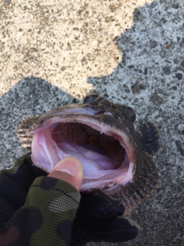 pdybnzxsp74nufw39ngc_690_920-9b7ae2fd.jpg