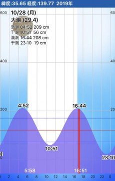 pe4ahdku6jm5yxf94gs4_307_480-db597245.jpg