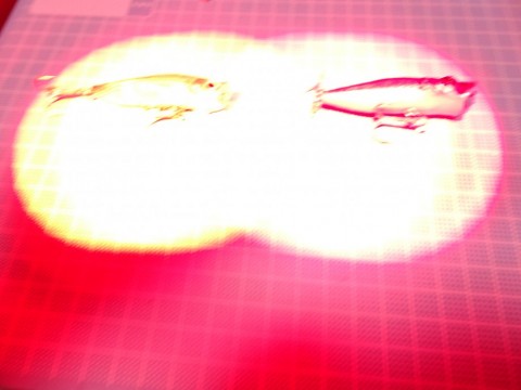 peaof6wgdvjrsd9v54f8_480_480-7d5428fd.jpg