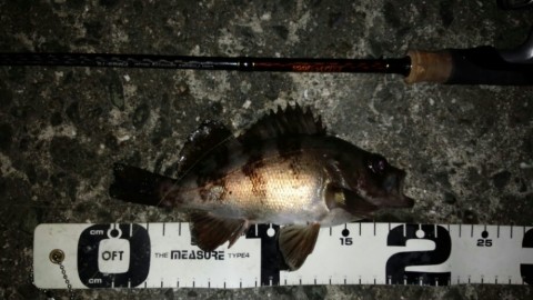 peho9hnd6prxfj4nbee8_920_518-ee788e76.jpg