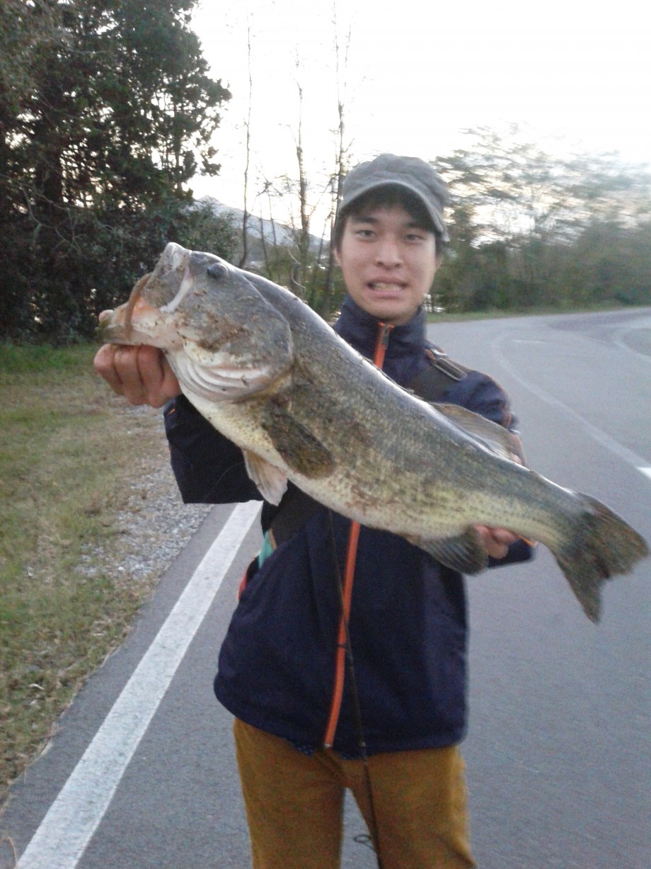 Fish The Moment 3月 メバルと６年間広島での釣りを振り返る