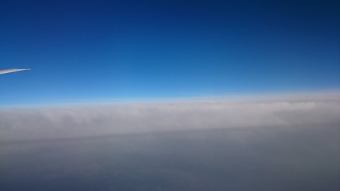 pevycg4j5npx3uaiu6xi_480_480-68636b9d.jpg