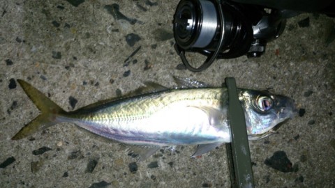 pexosub7j8drh57trxwa_920_517-058664d5.jpg