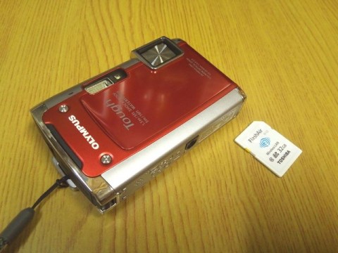 pf33p62voc3pjyvd6bjm_480_480-19f59251.jpg