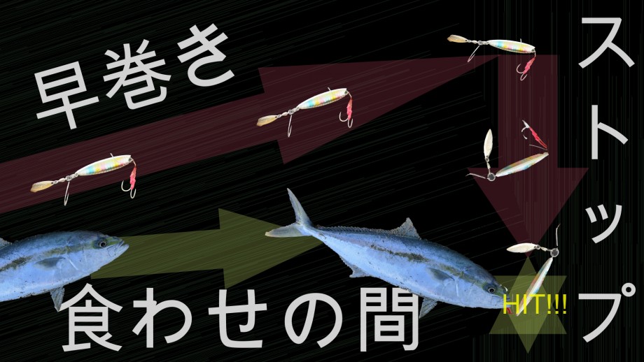 ブログ 早巻き ストップ 食わせの間 ショアジギング 青物良く釣れる