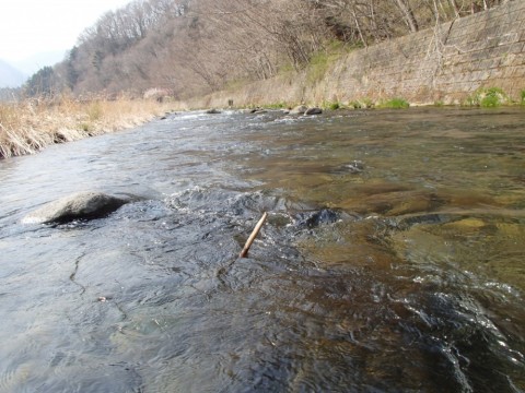 pf69bmfvnad87654t664_480_480-3024ccfb.jpg