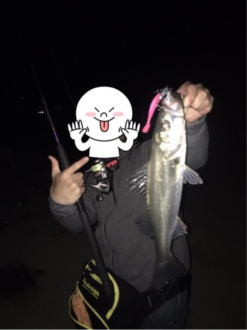 pfek9r8j34d39ppowenc_690_921-0ac575bc.jpg