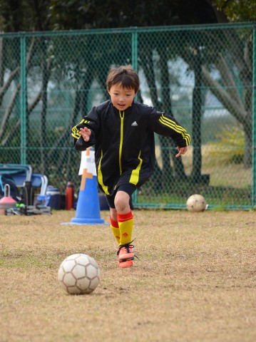 pfofscne2yackpcgf287_480_480-b14dab41.jpg