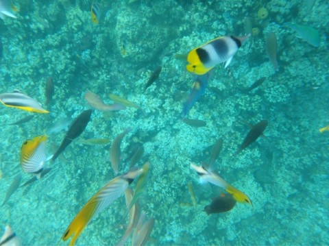 pfvhwo8ab87obx47jg2s_920_689-c54bb4a0.jpg