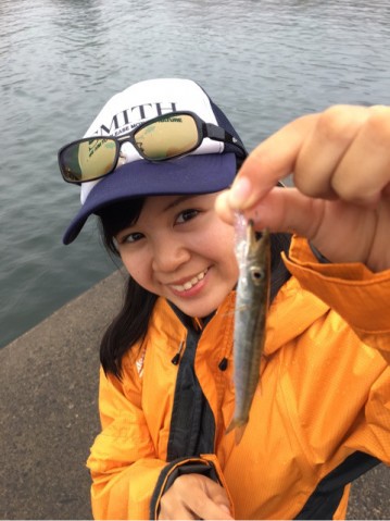 pfwyuhwe43jgo2ji234j_480_480-18b44176.jpg