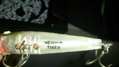 pg288boeddidecnybjs8_920_517-709750e0.jpg