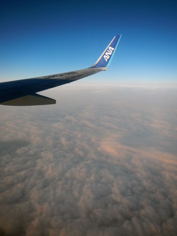 pgm3mh7skkvm3tspavnw_480_480-72a4dfb2.jpg