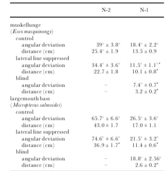 pgre4rhwmdw6ijjmb48r_334_344-b0ef5aa6.jpg