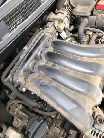 pgskj392dcmzue839679_480_480-ff6bb43e.jpg