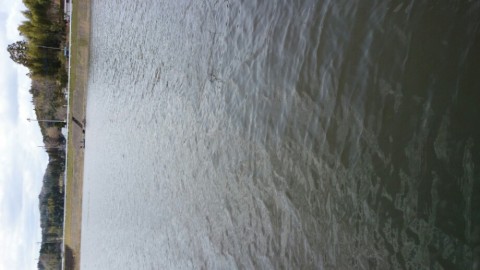 pgwjh46mbws9ts8afffy_920_518-59e559a3.jpg